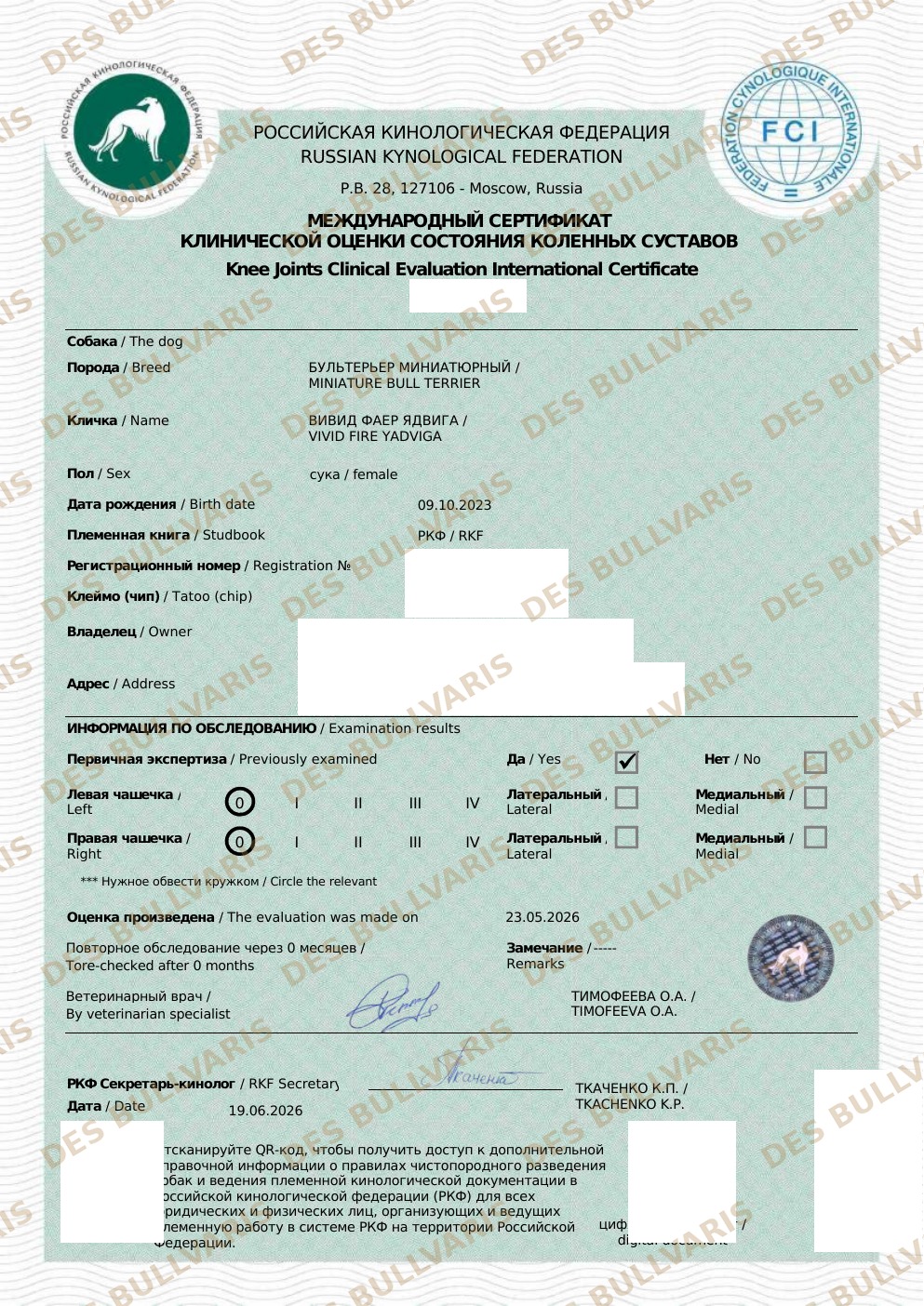 Сертификат оценки коленных суставов Пателла 0/0