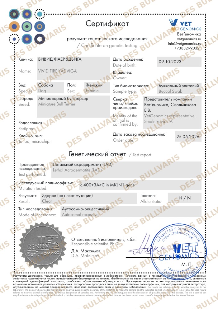 Сертификат генетического теста Летальный акродерматит (LAD)