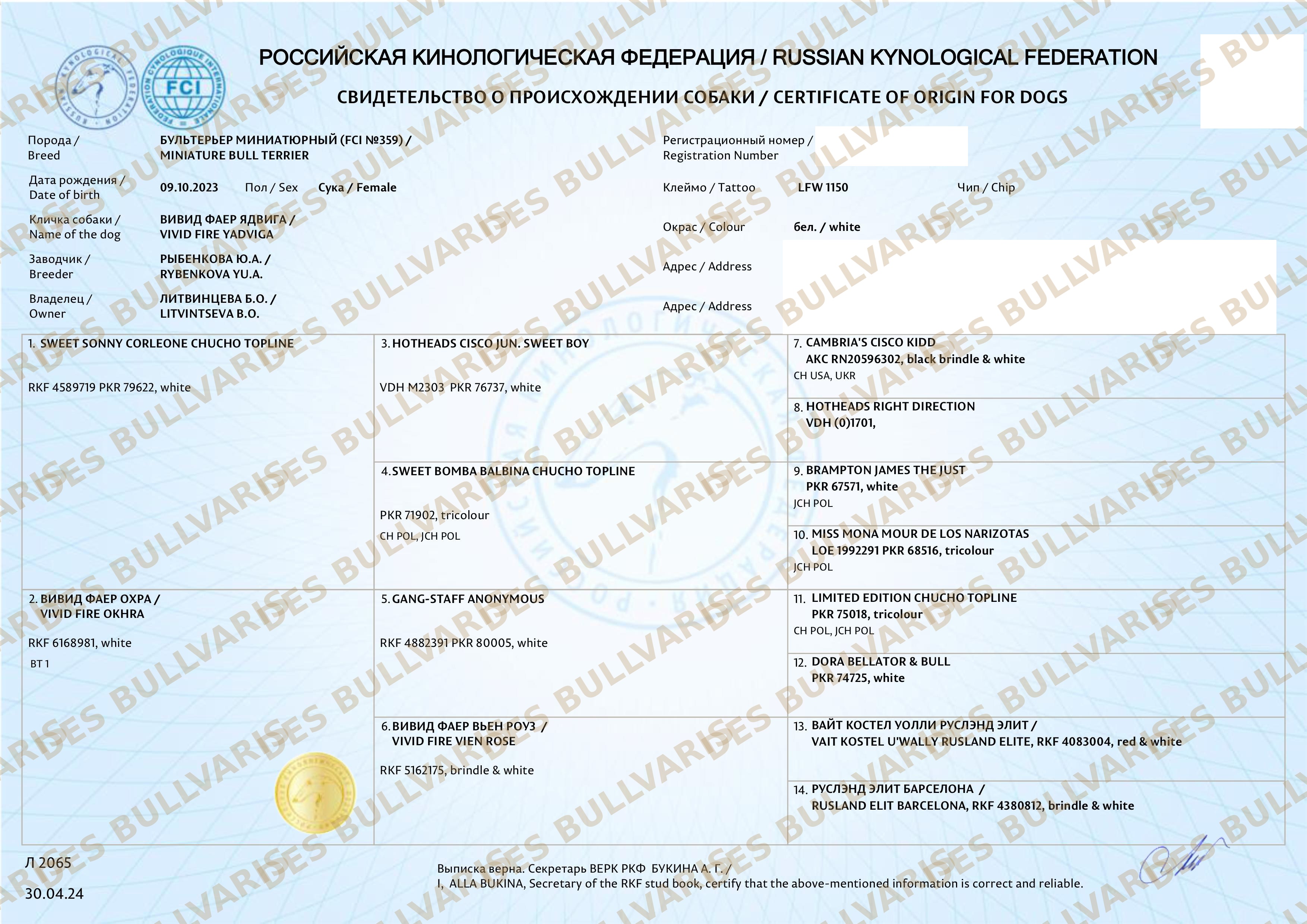 Родословная РКФ / FCI VIVID FIRE YADVIGA