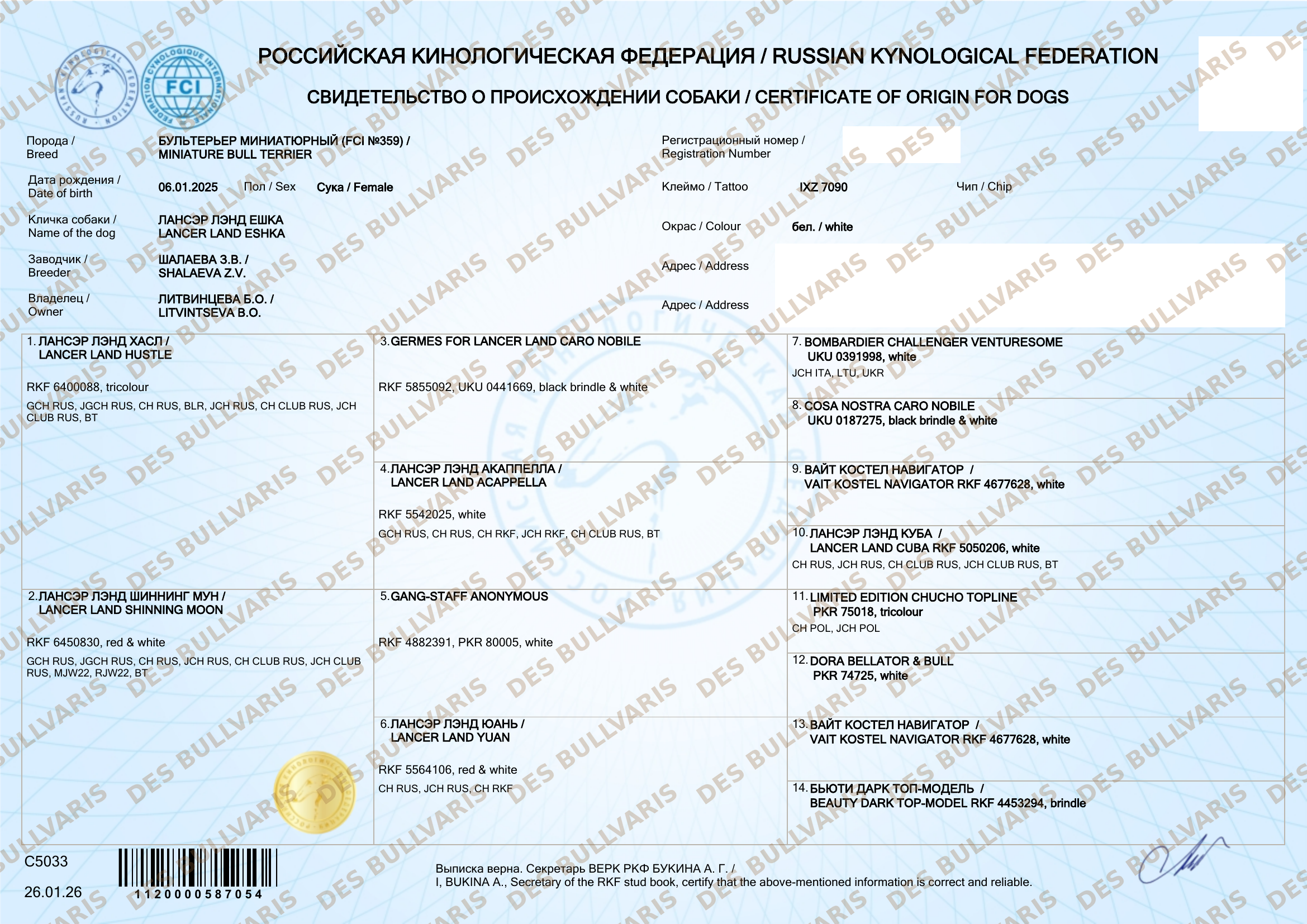 Родословная РКФ / FCI Lancer Land Eshka