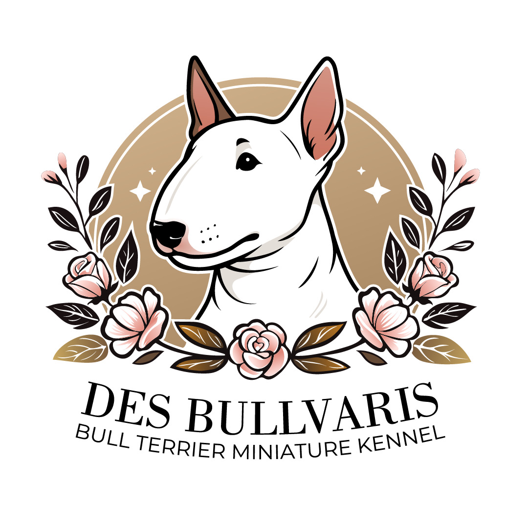 Логотип питомника миниатюрных бультерьеров Des Bullvaris
